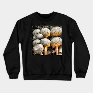 Congregation Crewneck Sweatshirt